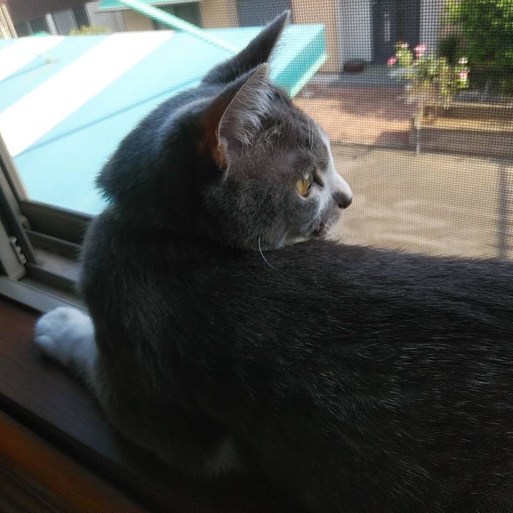 A32f20d0 43ec 4fa9 a8c4 80272e4cdcf4 1591656747262