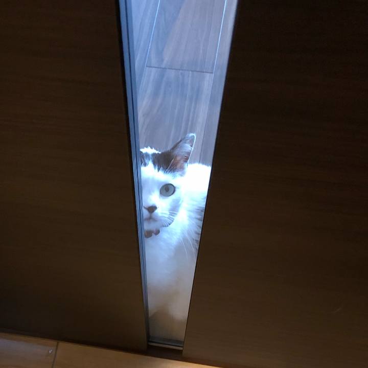 A32f397a 4972 48aa 8933 61e715833dff 1553642739216