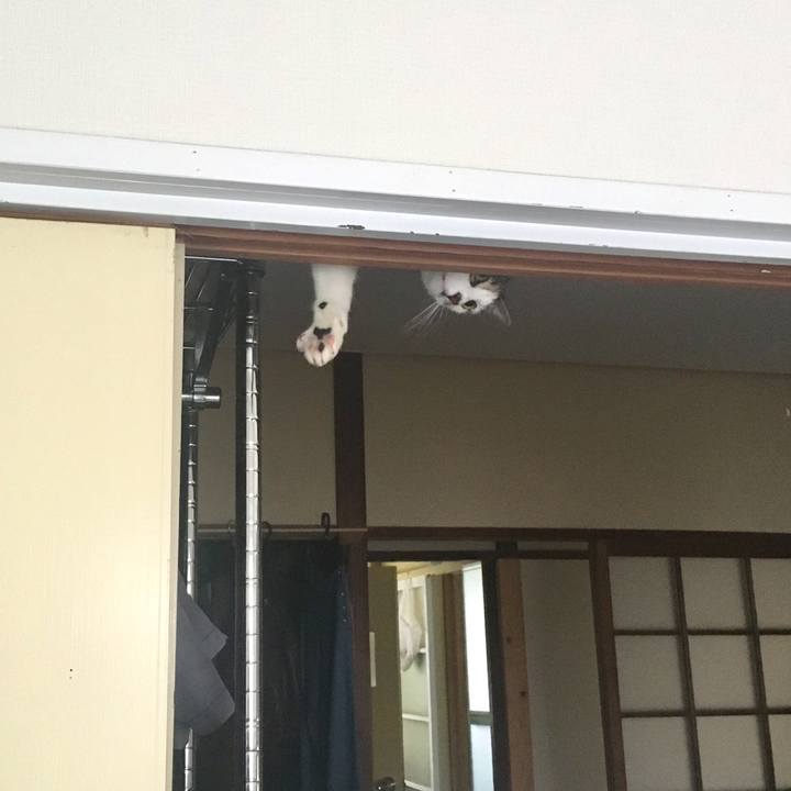 A32f422c c72e 4d9f b668 53921901f98b 1537412627629