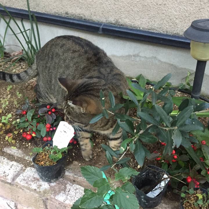 A32fbb80 7f5f 44ad 9d6e 73e79b6ba42a 1511954733733