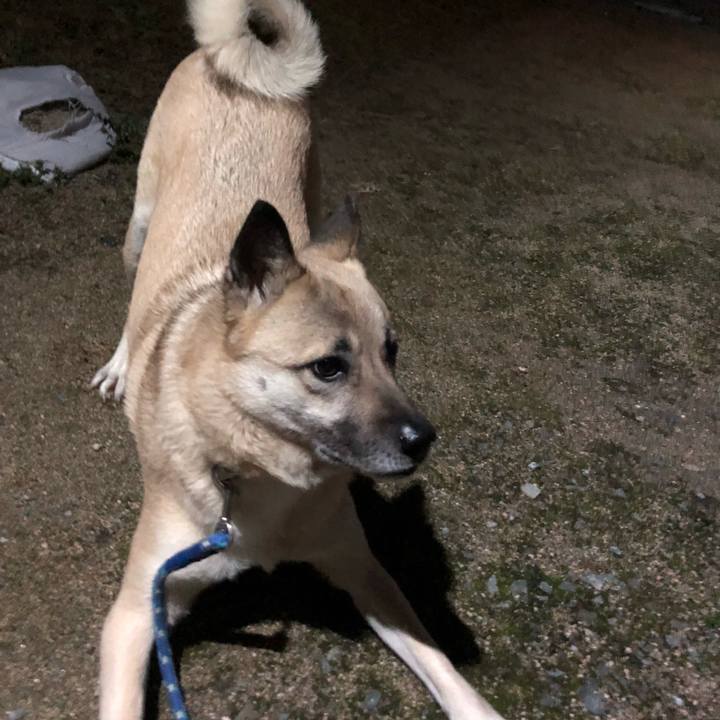 A32fc8e0 5579 42a1 8b71 fdcde97420e1 1611575683363