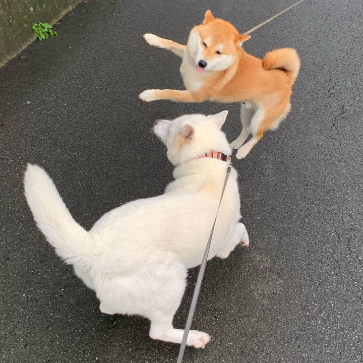 A32fca02 d0f6 4d34 b1d7 5152fdc644bd 1563624381287