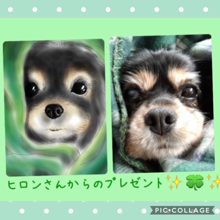 A32ffecc f65d 485f 8f83 395987913a68 1585756964702