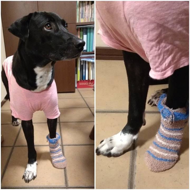 A3305948 76a6 4fca 9ebb 8103ad24cd33 1612695094507