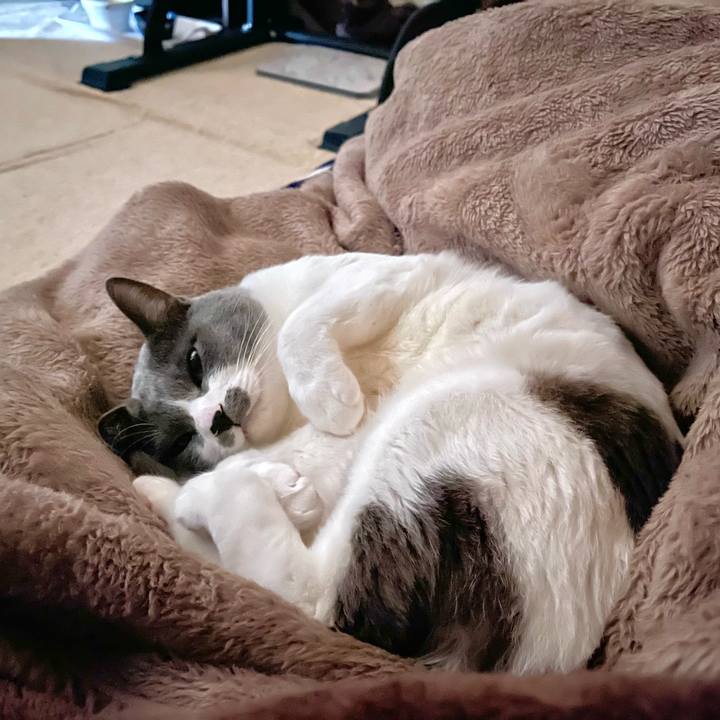 A3305da0 93f2 4c6a 974a ae9be48901c3 1670286244910