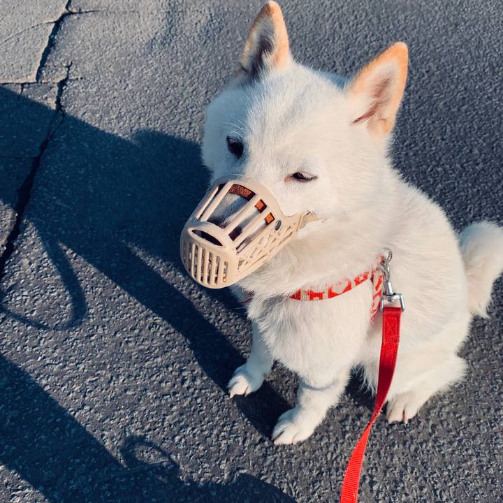 A330b495 308c 4450 97de 0dd8613e1de4 1561326223879