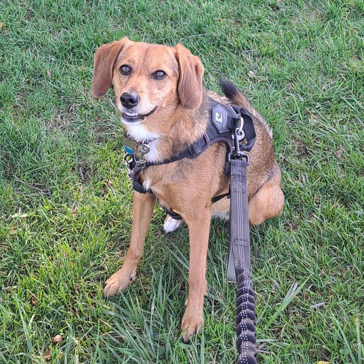 A330dba1 b128 4880 9887 4992f9699402 1759979312924