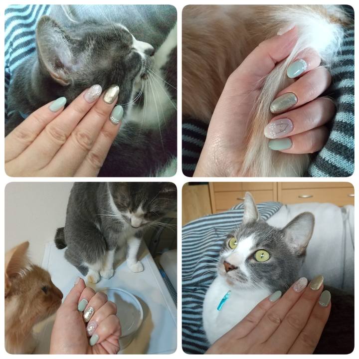 A330fd7c 801d 49e7 a359 605b0d2f7c71 1644640802586