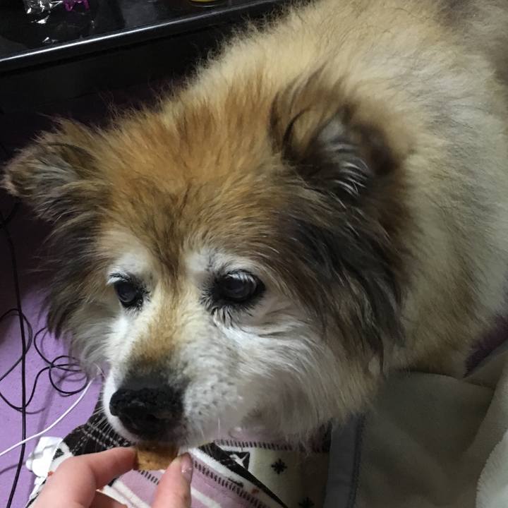 A3313295 854a 4b02 a80d ba80751867c7 1556647694035