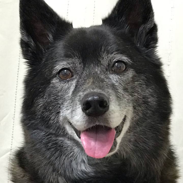 A33143da fc20 4b24 ae81 431e6f1dd653 1555807469293