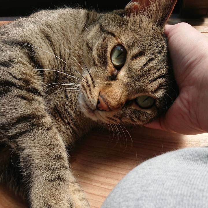 A33150ea e14d 43ae adbc 3a7ef6b8c060 1587774790988