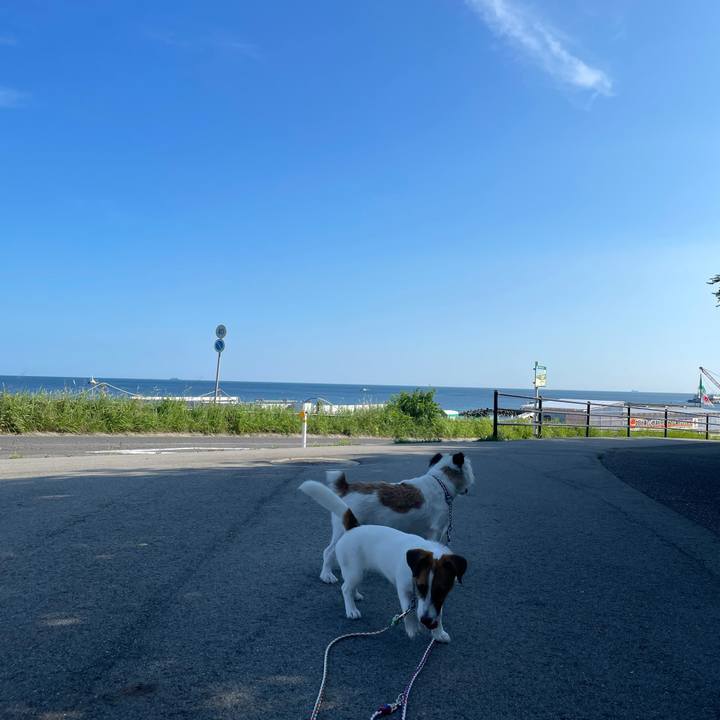 A33198cc 6bce 45f6 a13b 0bb76f92308d 1626306923172