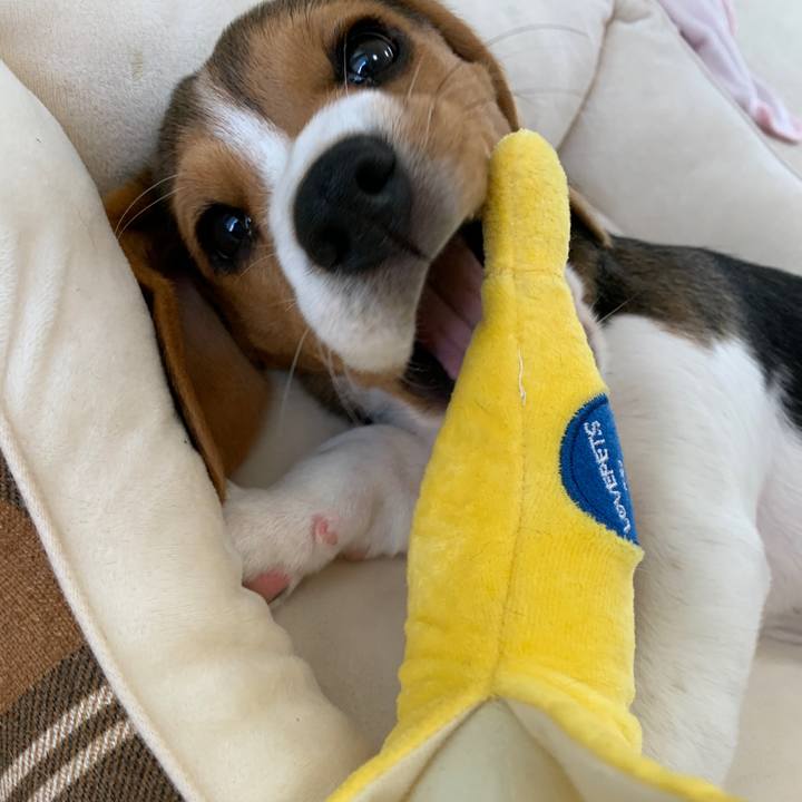 A331a425 b72e 4004 aee9 cec8ef20f81a 1619600132101