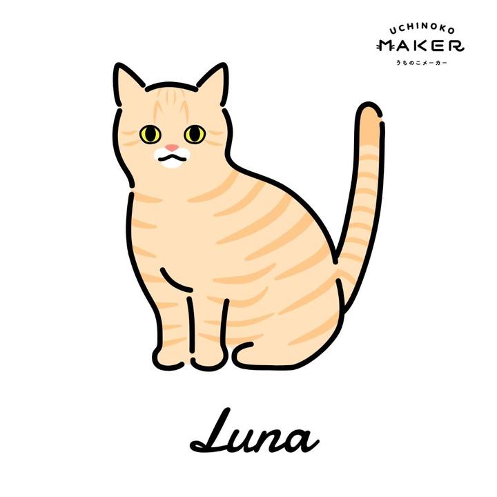 A331b5b6 c649 4a60 9631 a28325e1ac67 1659924875084