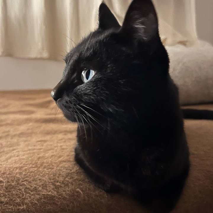 A331d4b7 528d 44fe 9391 f8bac3b04365 1765770450211