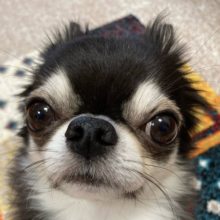 A331efda e6eb 4c3e a8c2 184b6ab501a5 1698532340750