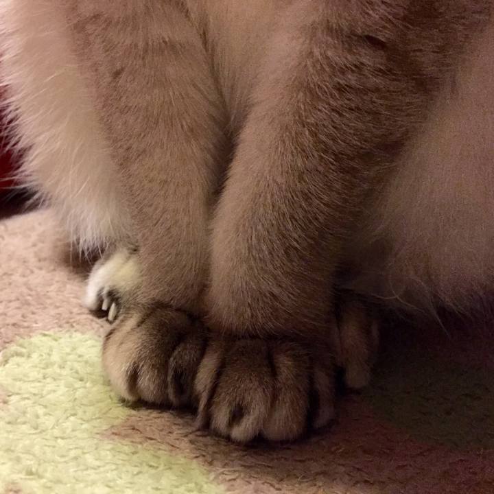 A3320e4a ad4c 47fe 967b ce122491587b 1541595293925