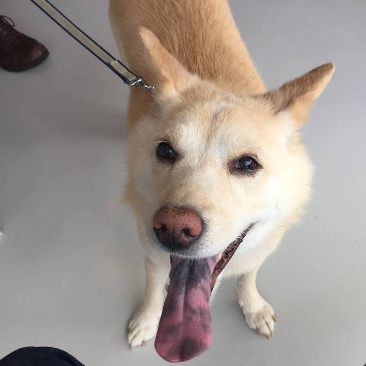 A3325a56 66f8 4633 b3dc f741c80920f3 1533533903912