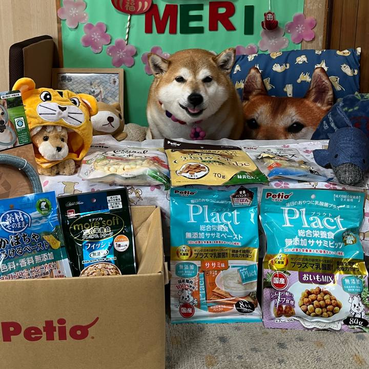 A332628c c03c 4049 bbec ef574795b8b4 1649747146296