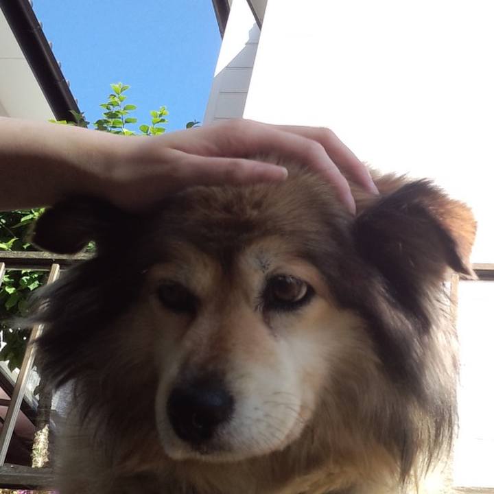 A33274d6 6071 4e18 a740 62d3703fa8d1 1567902945806