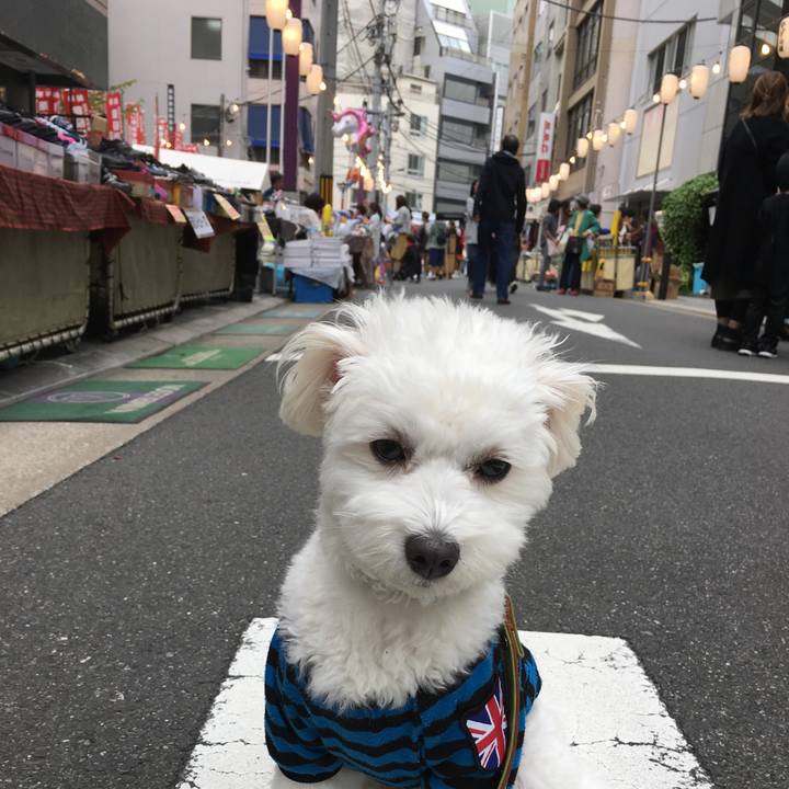 A33275be ecf8 426b b1d5 3f525e6467bb 1540532731957