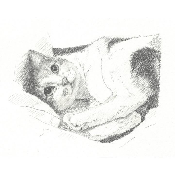 A3327f8e abbc 43c5 b483 14fda19f2c94 1544276040867