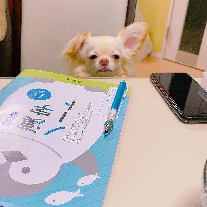 A332870d 5446 416b beb2 fa9e5f89d435 1626407722061