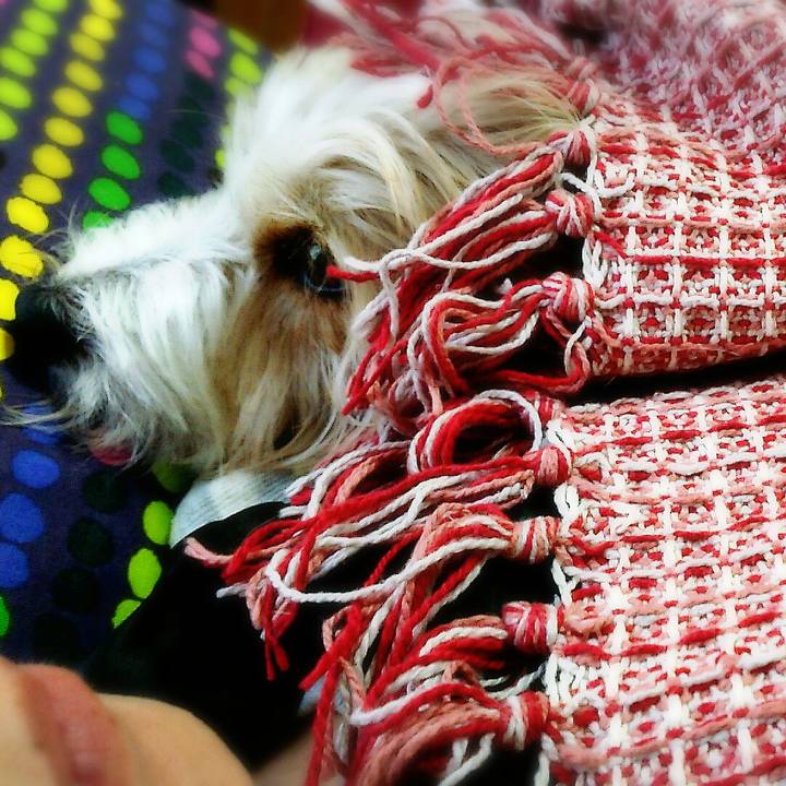 A332b053 ec46 42c6 8db0 430f99738afc 1510478812487