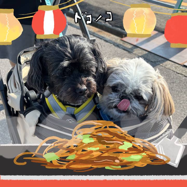 A332bad0 edcd 435c b4b5 807991625043 1755138005210