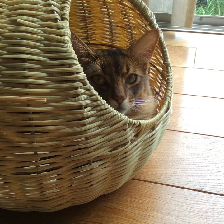 A332c070 3e36 4580 802b a8c17cf17e32 1629363234940