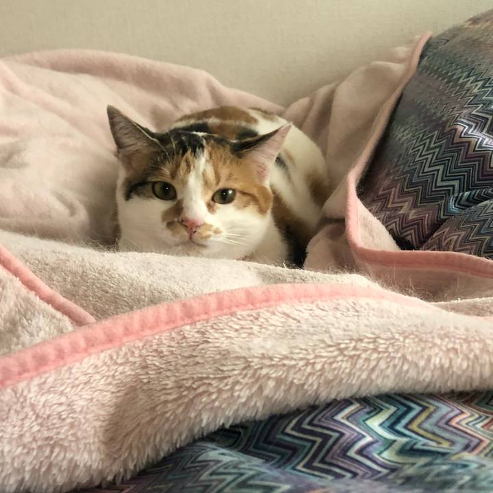 A332d748 35dd 4b91 8ab1 e3eb7bd8d99e 1581640807398