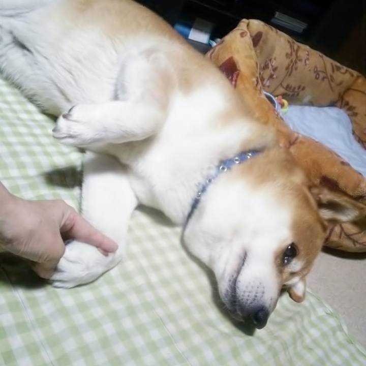 A332e9dd 6c58 4147 86ca 9e9ed31cce8b 1566041278784