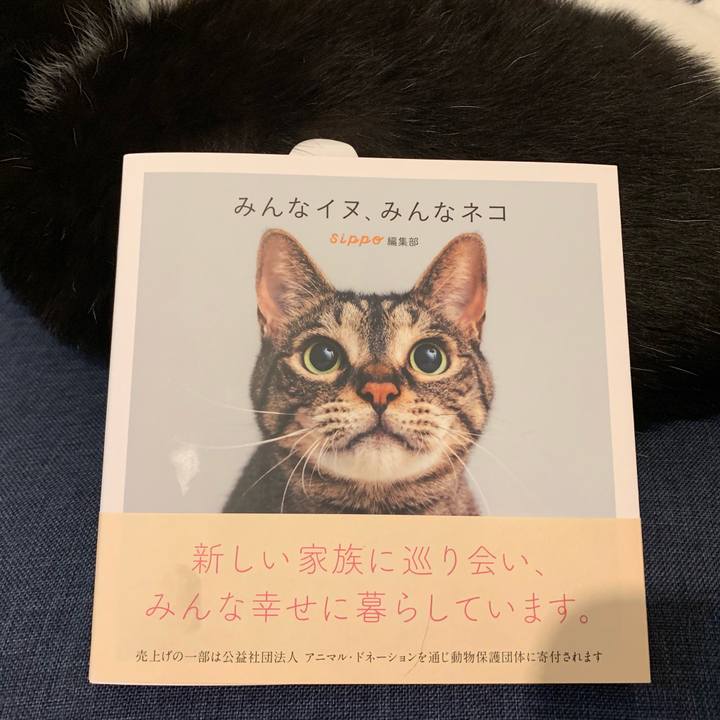 A33318fd c693 41f5 b68a 5a30e11126b2 1565507571732