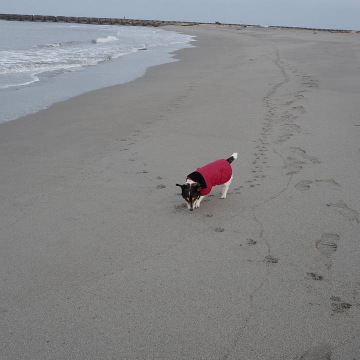 A333299b f4d0 449b 8a0e d8f6917fc1d8 1576989632882