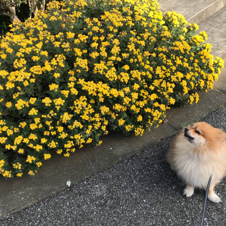 A333358b 7aaa 42b8 bd36 b5180bb46bd3 1510278559654