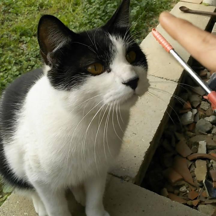 A3337f2c 2cf7 4874 9c05 bd103bd20b46 1545798812586