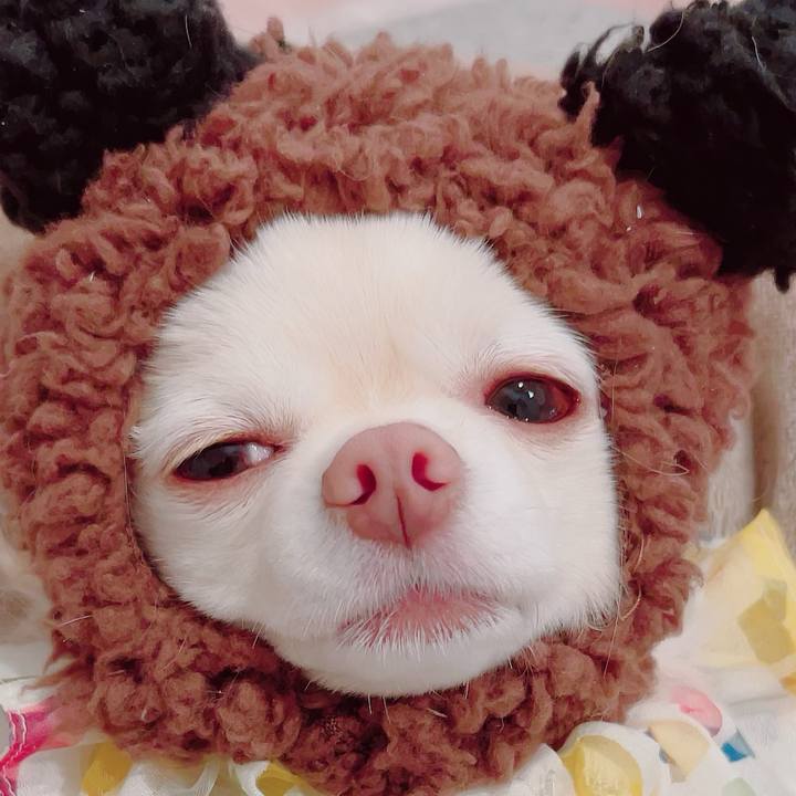 A333f476 62a6 4827 ba39 f7accdf3bd7b 1702092807255