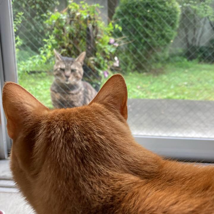 A334365a 3287 4a2b bd6b cc5698ab5b81 1655588554508