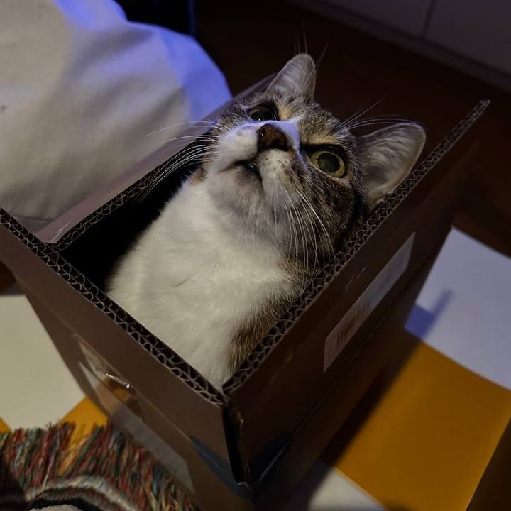 A33472e1 2666 426a 94a7 6a187a95c538 1705232435869