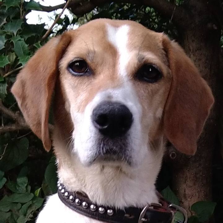 A3349437 5055 400e 9257 7bb93f13caa3 1659786652820