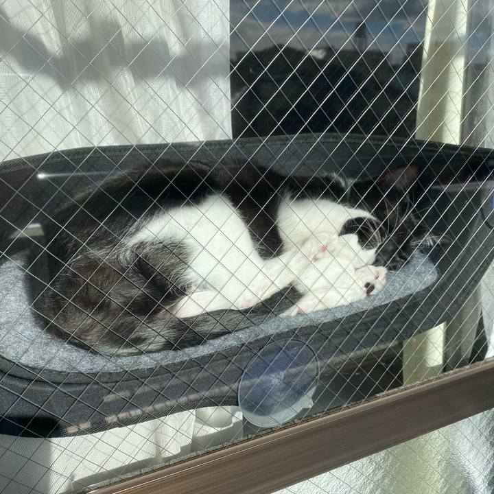 A3351ec8 d58e 439b bcdc 52461b232401 1608040864214