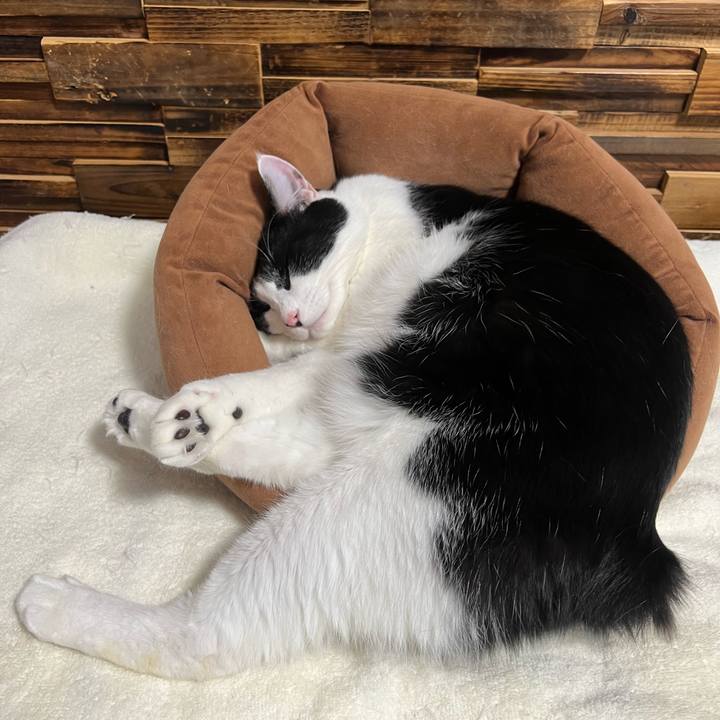 A33520f1 ebf1 4a20 ad73 038c7d62593e 1669248049779