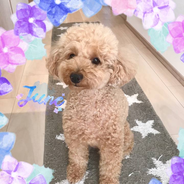 A33527e8 54f6 4e31 82d0 e85ffae8439a 1591275836231