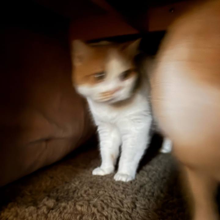 A3357c77 3db5 499a b872 c8fcf8073f15 1761100194622