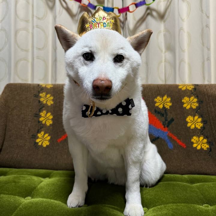 A3357e1b c03a 4671 8117 a30fd7898786 1711627935067