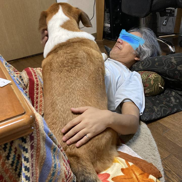 A33582b1 b9f8 4829 a984 df05c23d6a85 1689297104320