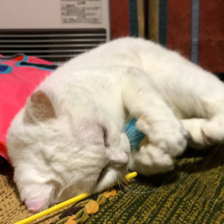 A33596d4 aaf3 4f73 92aa 1eb4f4d3566e 1534750911772