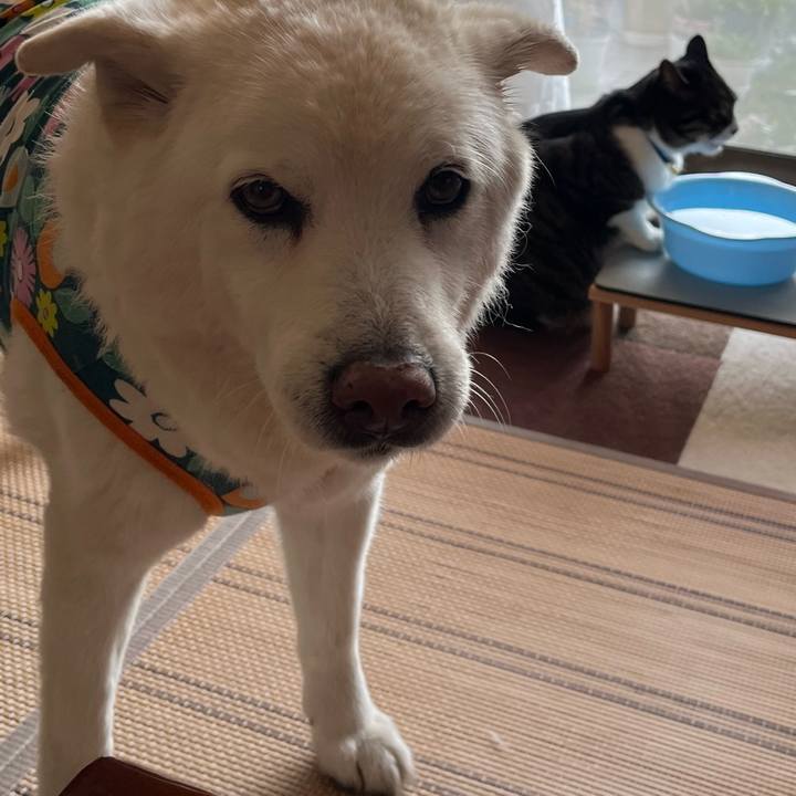 A335dfe2 9a74 4734 ada4 13a8f44eee63 1763335673142