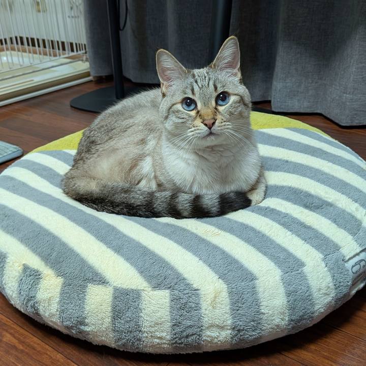 A335e9db f523 487d a517 8f68cbfa30f7 1770635360932