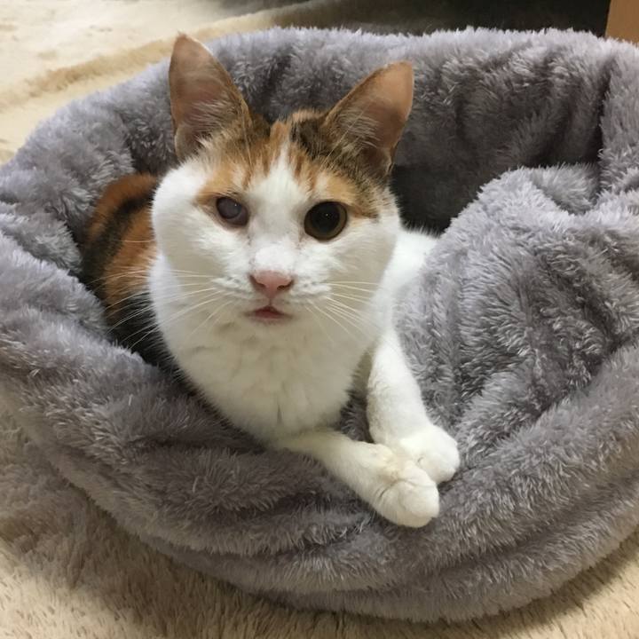 A3361535 8840 4244 a863 7cd2b9aaf7ce 1539947648096